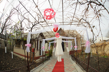 Wedding Dress in Yard