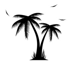 Vector illustration of palm trees .