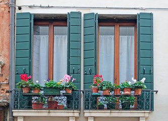 Fototapeta na wymiar shutters and flowers