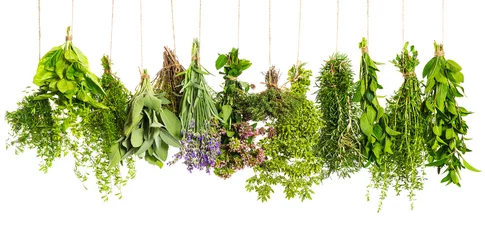 Photo sur Plexiglas Aromatique herbes suspendues isolées sur blanc. Ingrédients alimentaires