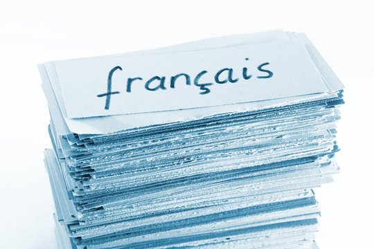 French (=francais) Flash Cards / Vocabulary Cards