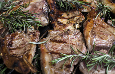 lamb grilled