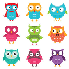 Owls set