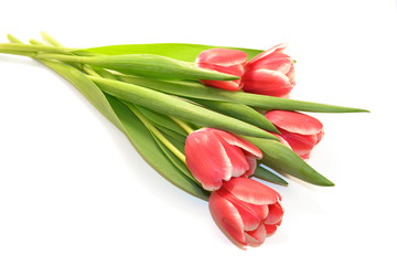 Букет тюльпанов