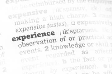 Experience Dictionary Definition