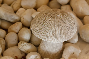 the brick background