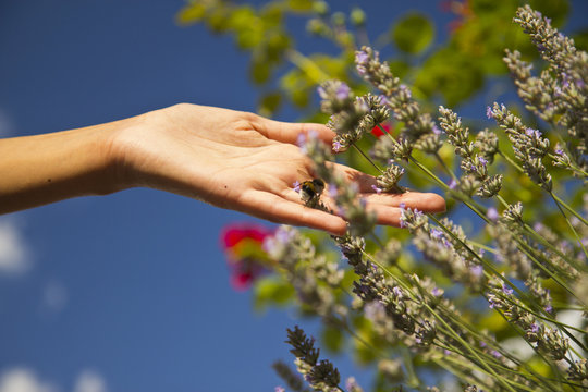 In Touch with Nature