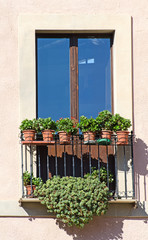 Old italian balcony with flowers.