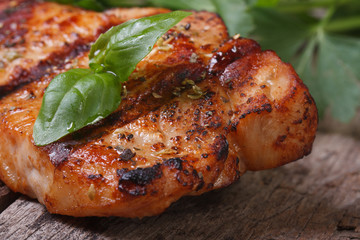 piece of grilled meat with basil. Macro