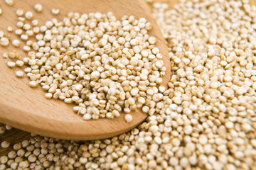 Quinoa grain
