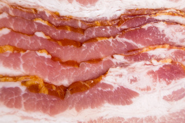 Raw dry-cured back bacon