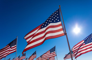 A display of American flags with a sky background