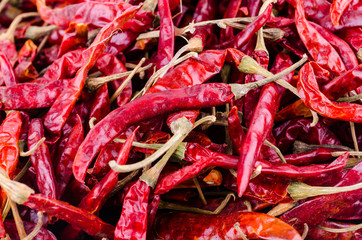 dried red chilli pepper isolated white background