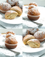 muffins