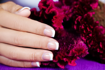 Flower in female hand with french manicure