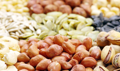seeds and nuts