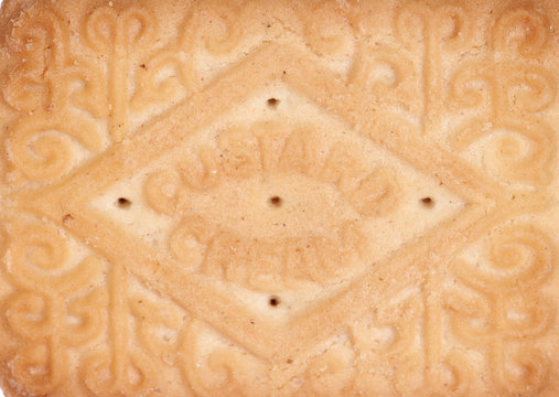 Custard Cream Biscuit Abstract