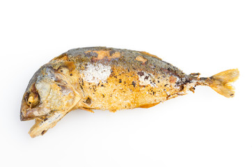 fried mackerel isolated white background