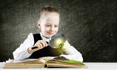 School education