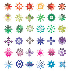 flower in color