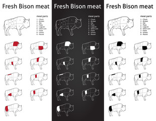 FRESH BISON meat parts Icons for packaging and info-graphic 1 - 61651505