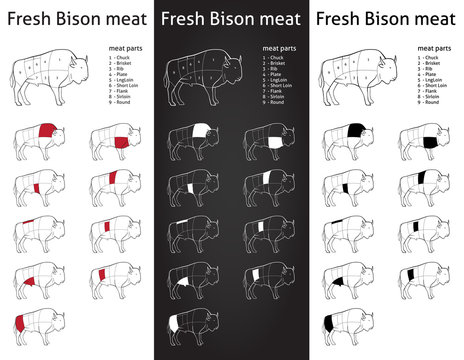 FRESH BISON meat parts Icons for packaging and info-graphic 1