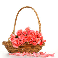 Fototapeta na wymiar pink rose in wooden basket