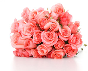 Pink roses on a white background