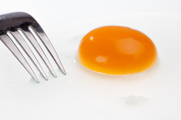 Uncooked Egg