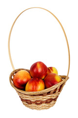 nectarine in basket