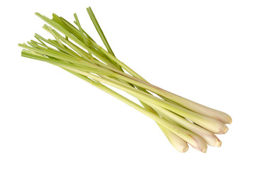 Lemon Grass