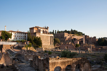 Fototapeta premium The Roman Forum. Rome, Italy.
