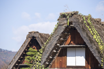Fototapeta na wymiar Domek i pole ryżu w małej miejscowości Shirakawa-go Japonii. autu