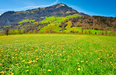 Fototapeta na wymiar Village