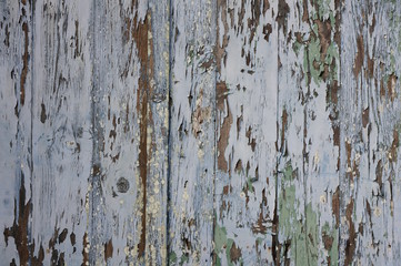 Hintergrund versagender Holzschutz