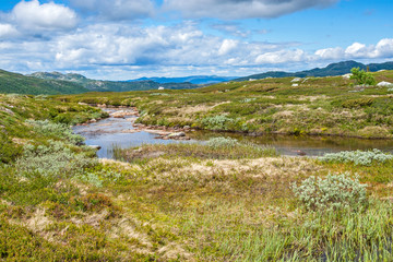 View over Norway landscape