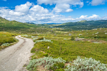 View over Norway landscape
