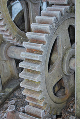 Gear Wheels