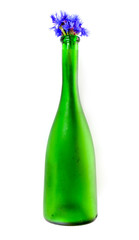 cornflowers in a green bottle