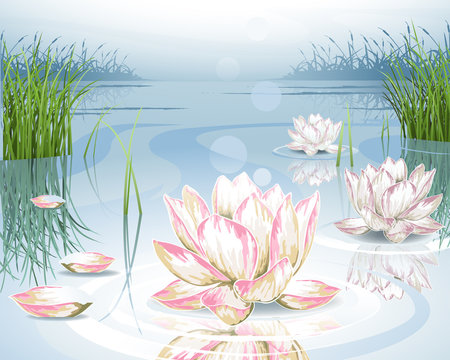 floral background