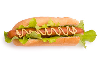 Hot Dog isolated on white