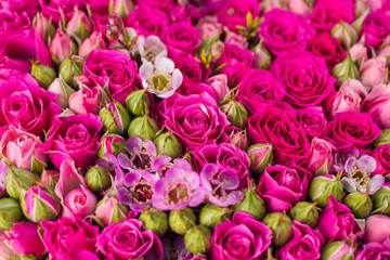 Abstract background of flowers.