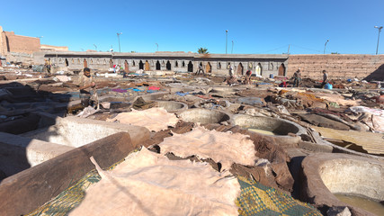 Production of Leather in Marrakesh, Morocco
