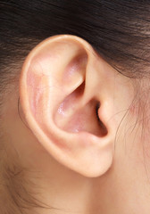 Naklejka premium Female ear