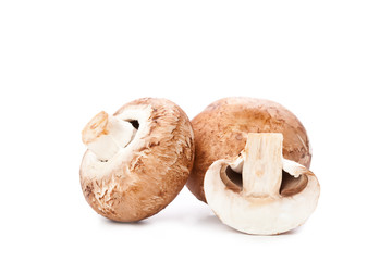 mushroom on white