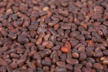 Pine Nuts