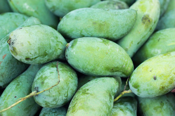 Fresh mango fruit in the market