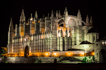 Fototapeta na wymiar Cathedral of Palma de Mallorca La Seu night view