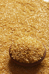 Masoor dal  or pulse 
