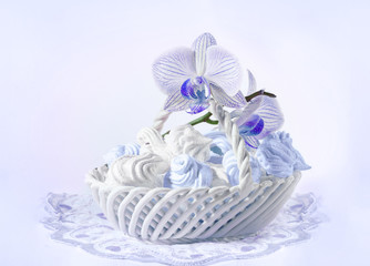Delicate meringue with blue orchid